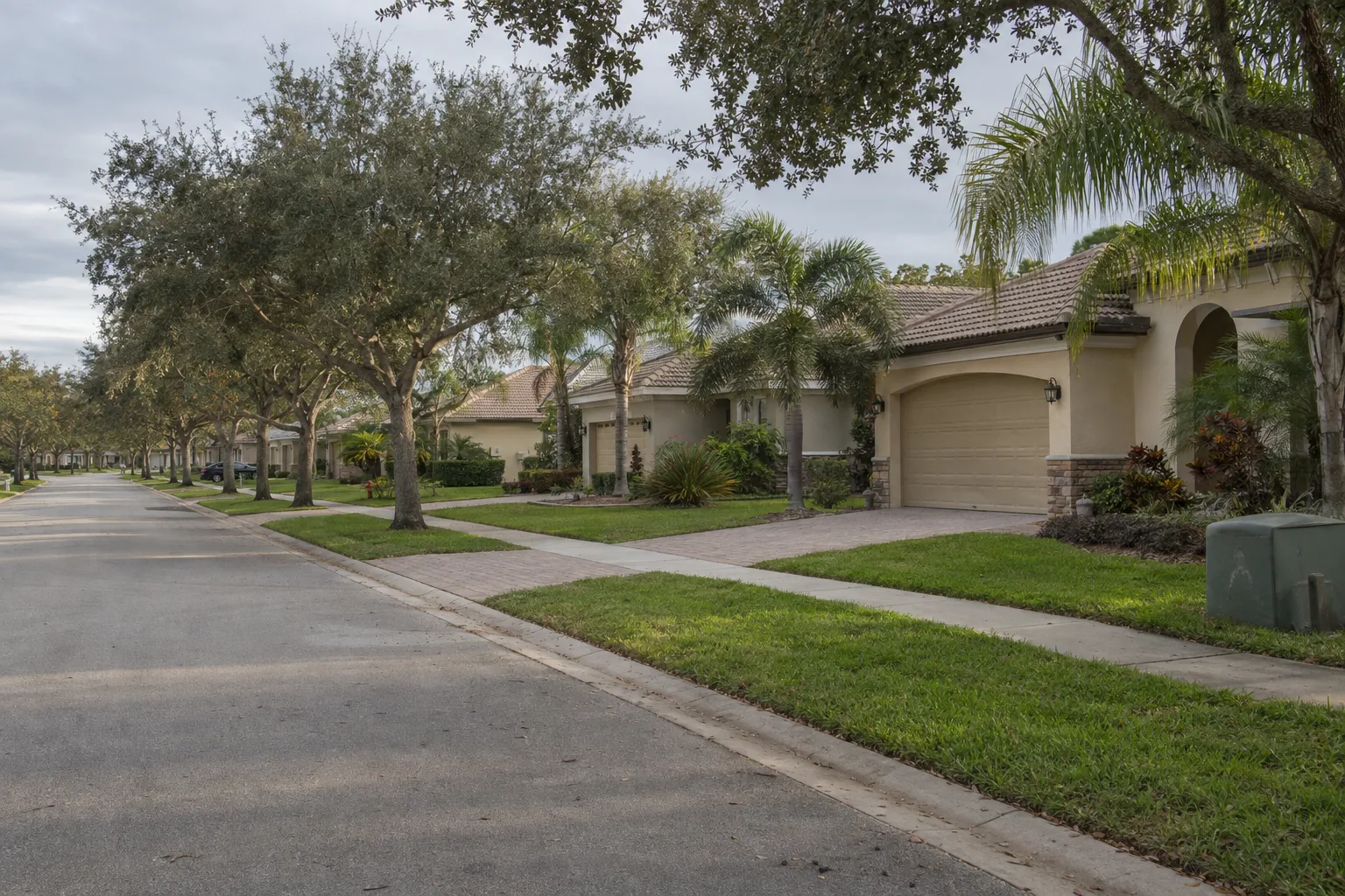 A sunlit suburban street lined with stucco homes featuring attached two-car garages, mature live oak and palm trees casting afternoon shadows across the sidewalk in a Florida residential neighbourhood