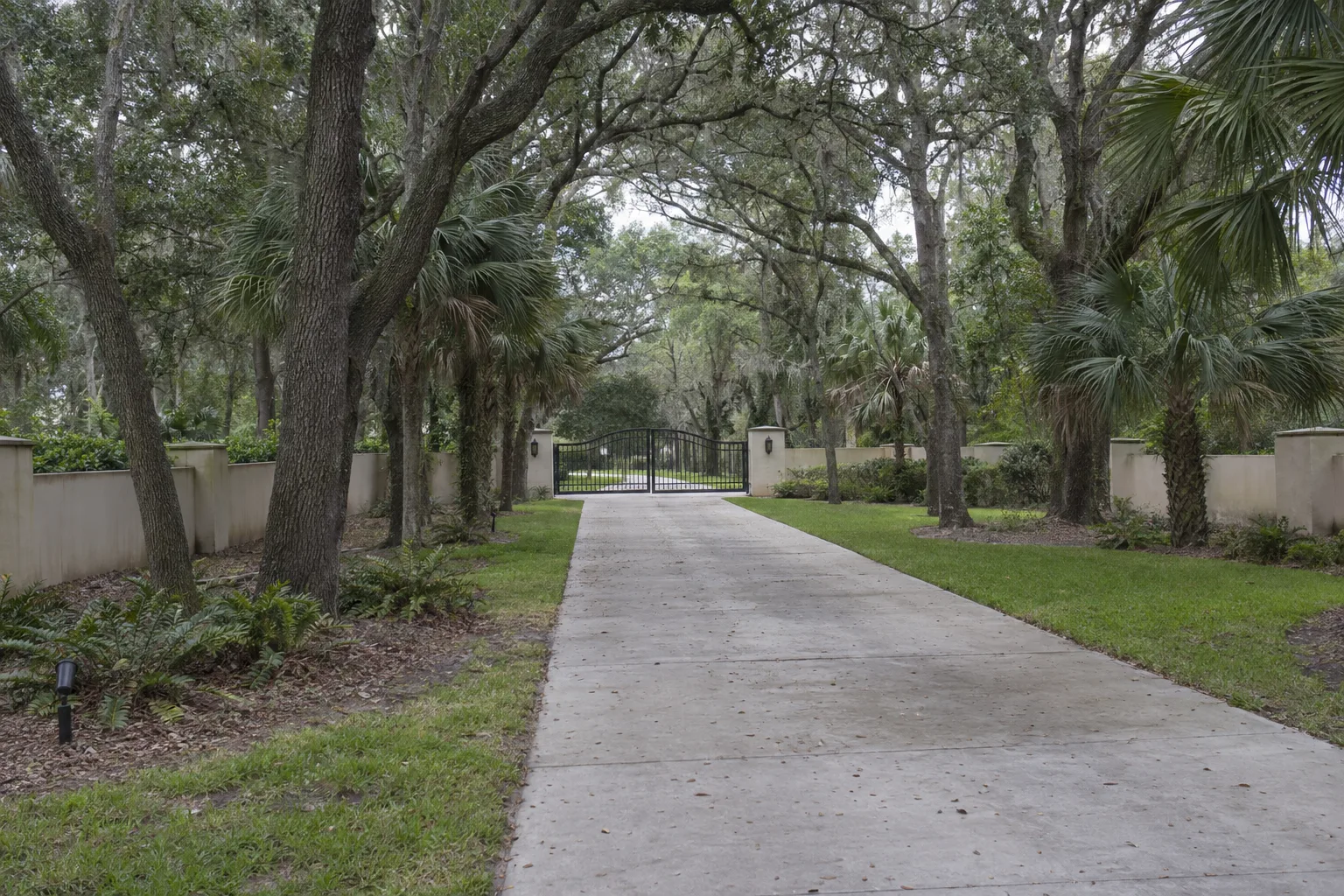 Long private driveway lined with oak and palm trees leading toward a closed automatic iron entrance gate at the far end, with a stucco perimeter wall and green subtropical landscaping on a sunny Florida afternoon
